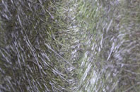 Langcliffe fibreglass roof work